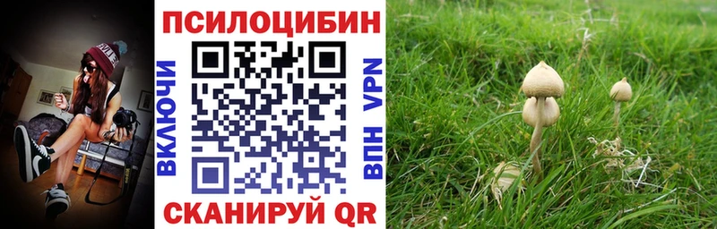 как найти наркотики Шумиха Псилоцибиновые грибы MAGIC MUSHROOMS